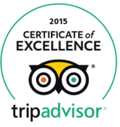 Tripadvisor-Awards-Travel Surity
